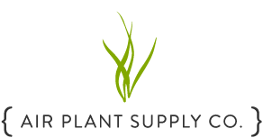 Air Plant Supply Co.